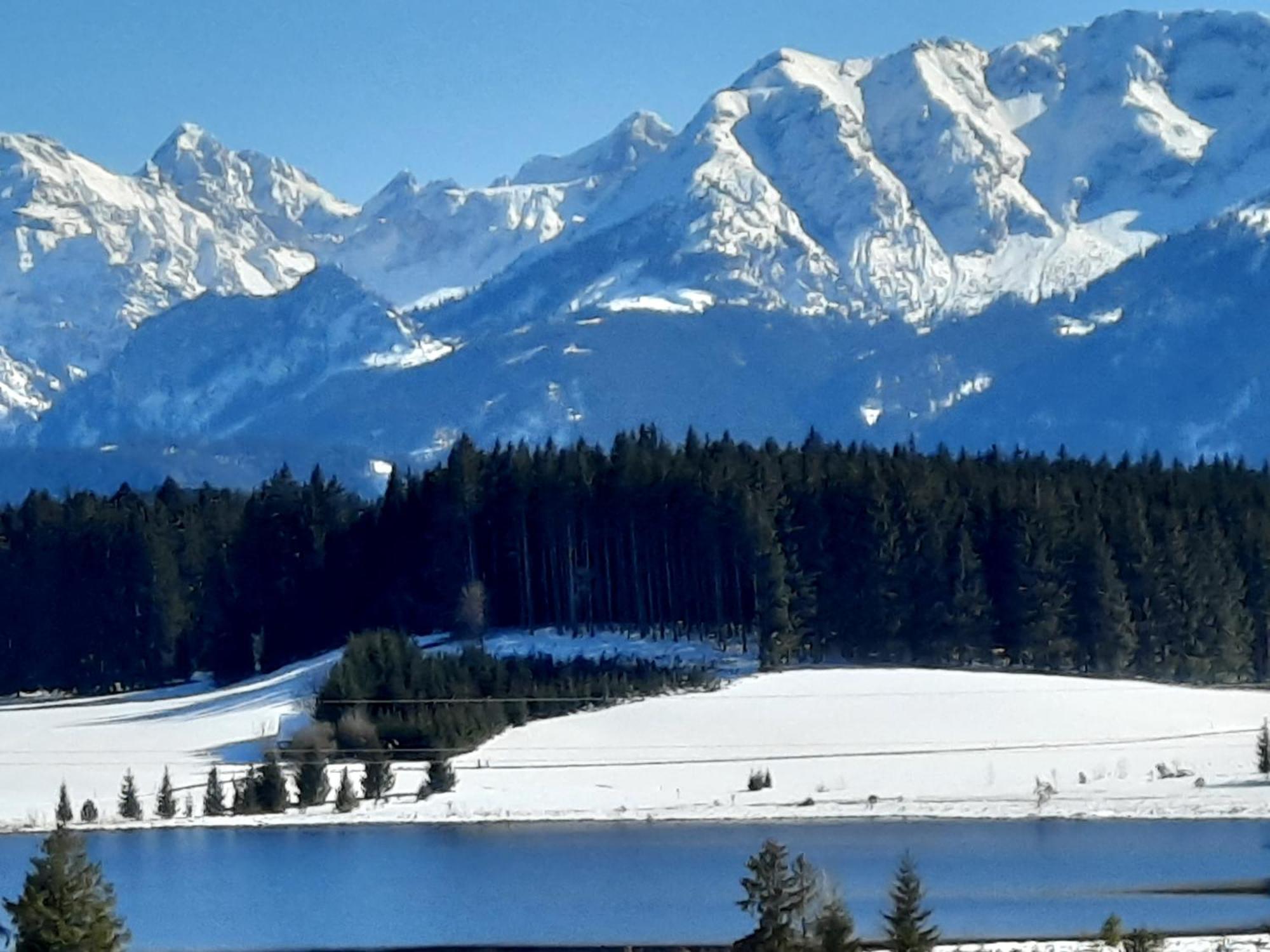 Allgaeu Tipp Pfronten Εξωτερικό φωτογραφία